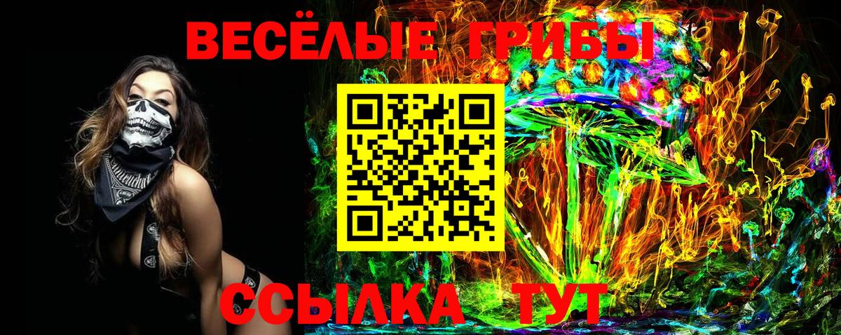 Галлюциногенные грибы Psilocybine cubensis Кулебаки