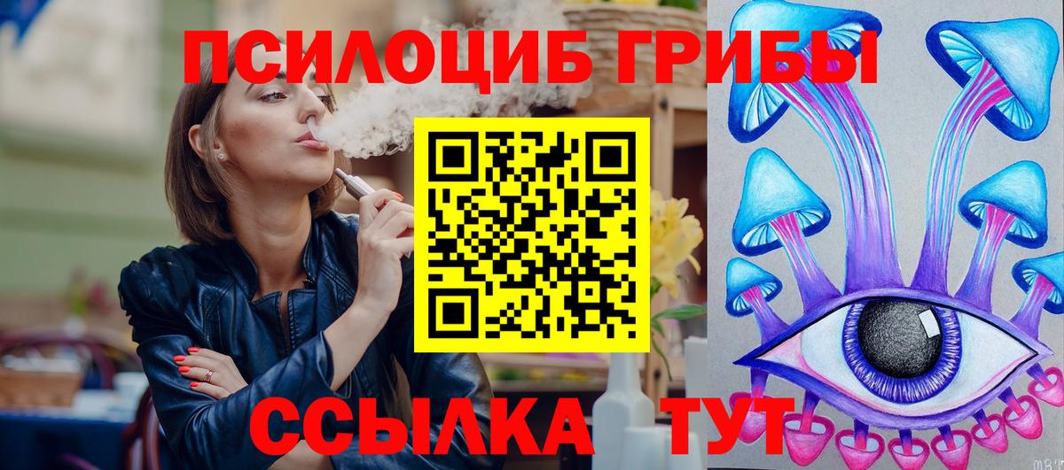 Псилоцибиновые грибы Psilocybine cubensis  Вход с VPN  закладки  Кулебаки 